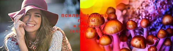 скорость Абаза
