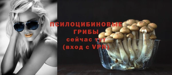 скорость Абаза