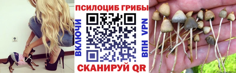 маркетплейс телеграм  blacksprut онион  Зубцов  Галлюциногенные грибы GOLDEN TEACHER 